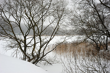 Image showing Winter landscape