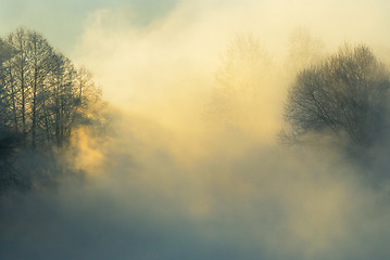 Image showing Frosty winter morning