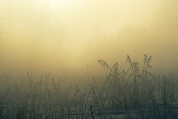 Image showing Frosty winter morning