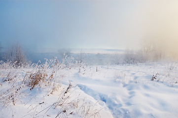 Image showing Frosty winter morning