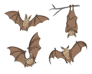 Image showing cartoon bats