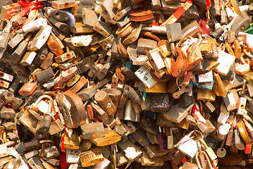 Image showing Tree from locks