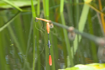 Image showing watch a float