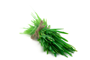 Image showing Bunch of grass 