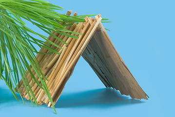 Image showing straw hut