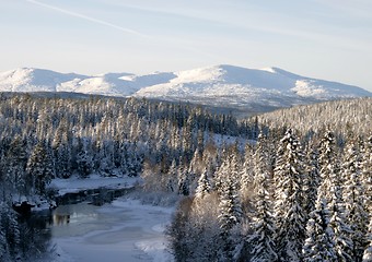 Image showing Winter creek