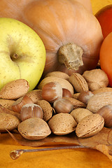 Image showing Autumn still life