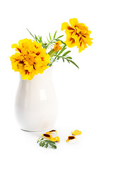 Image showing marigold flowers in vase