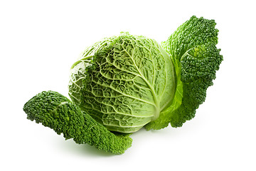 Image showing fresh savoy cabbage