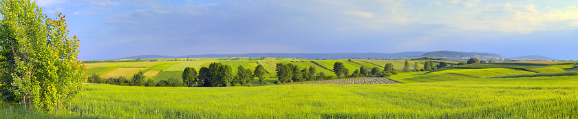 Image showing Panoramic landscape with green fields and trees