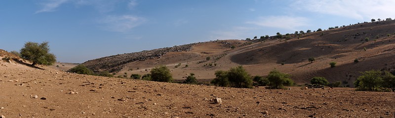 Image showing Mediterranean desert landscape with cows