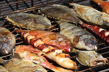 Image showing Fish on grill
