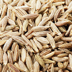 Image showing Caraway spice seeds