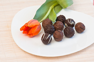 Image showing Chocolates and tulip on a white plate