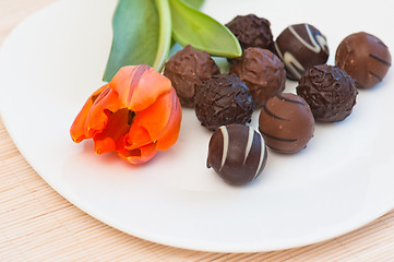 Image showing Chocolates and tulip on a white plate