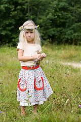 Image showing girl in wild flowers wreath