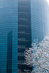 Image showing Skyscrapers in a fog 