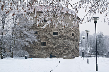 Image showing The park covered by a snow in Tallinn 