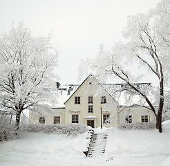 Image showing  The trees covered by hoarfrost at the old house