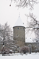 Image showing The park covered by a snow in Tallinn 