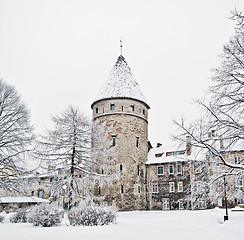 Image showing The park covered by a snow in Tallinn 