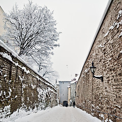 Image showing Street of city of Tallinn 