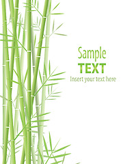 Image showing bamboo background