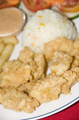 Image showing filet of fish breaded nicaragua