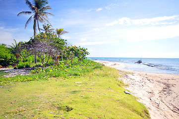 Image showing undeveloped beach property Corn Island Nicaragua