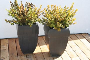 Image showing Pots with box