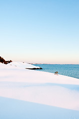 Image showing Snowcovered coast