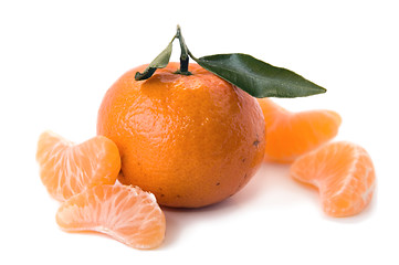 Image showing Tangerine with shares