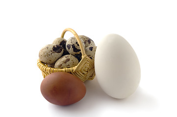 Image showing Has sung eggs in a basket