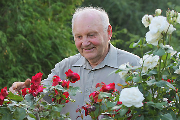 Image showing Portrait of grower of roses