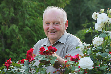 Image showing Portrait of grower of roses