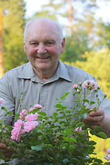 Image showing Grower of roses