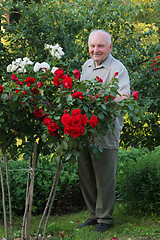 Image showing Grower of roses