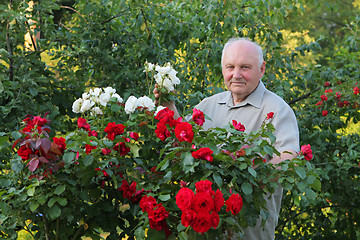 Image showing Grower of roses