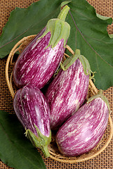 Image showing Eggplants.