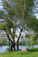 Image showing The shore of the lake in spring