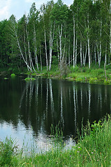 Image showing Lake in the forest.