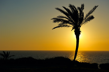 Image showing Sunset over the sea