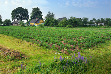 Image showing Rural landscape