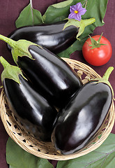 Image showing Eggplants.