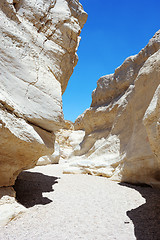 Image showing White stones of Makhtesh Ramon