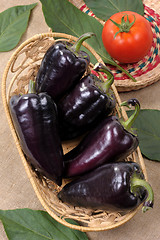 Image showing Black sweet pepper