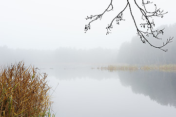 Image showing Autumn morning