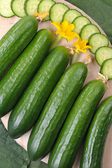 Image showing Cucumbers