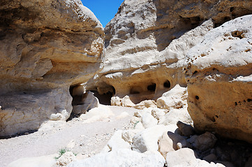 Image showing White stones of Makhtesh Ramon