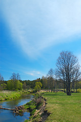 Image showing River in the forest